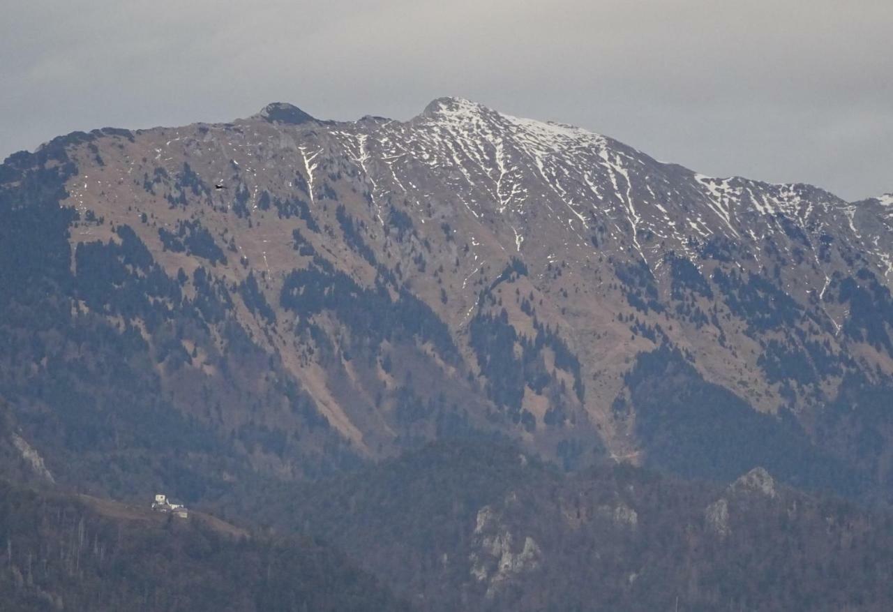Apartment Tjasa Radovljica Dış mekan fotoğraf