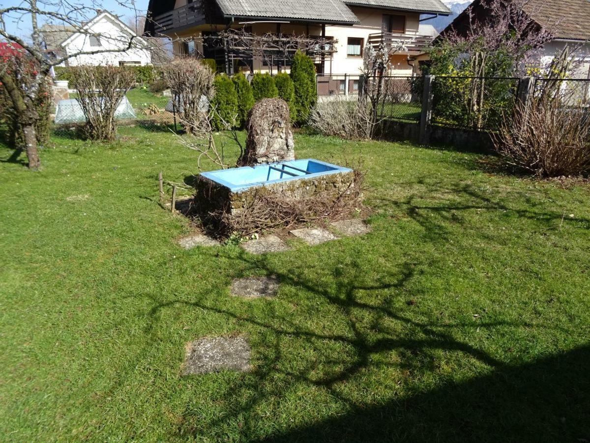 Apartment Tjasa Radovljica Dış mekan fotoğraf